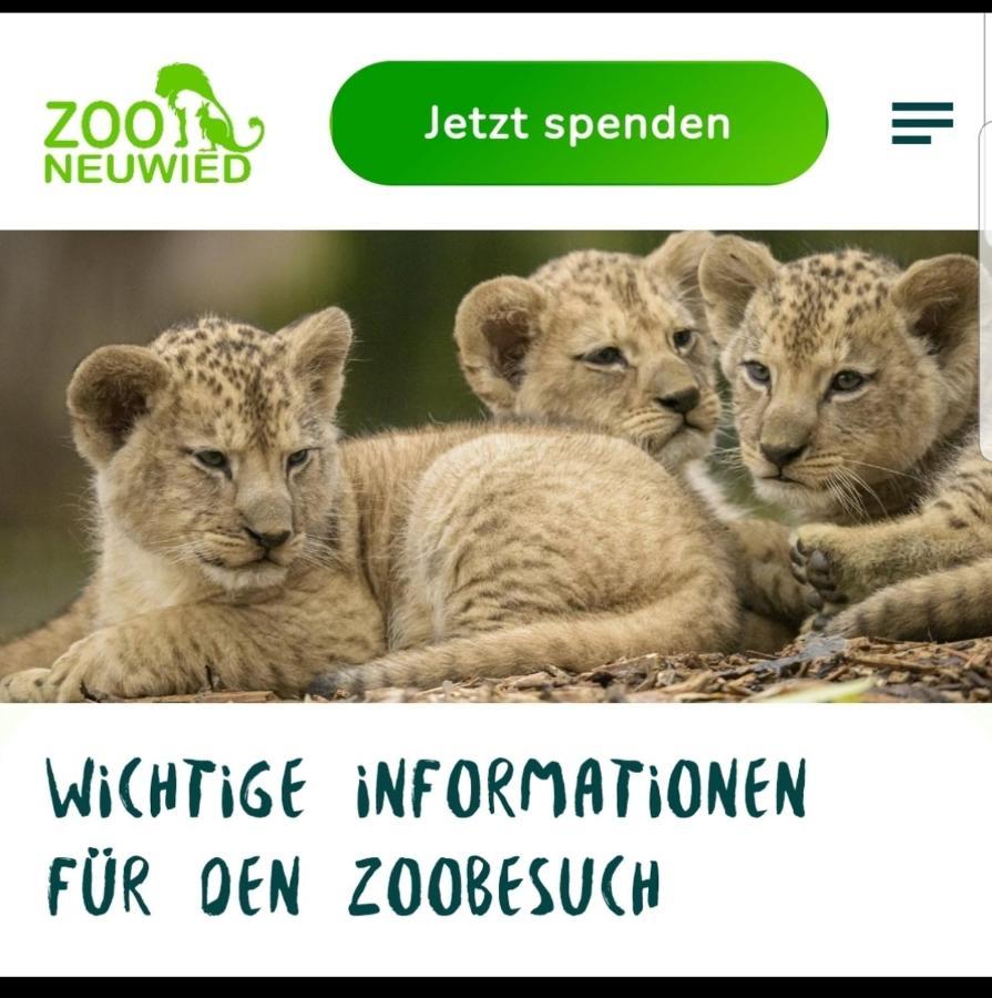 Fewo Mit Terasse Neuwied & Koblenz Eksteriør billede